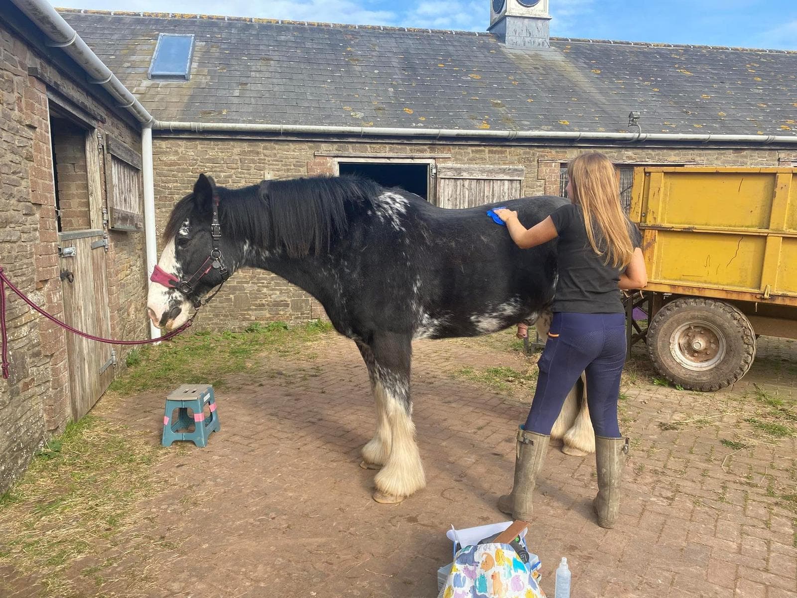 Hannah brushing a horse during therapy session